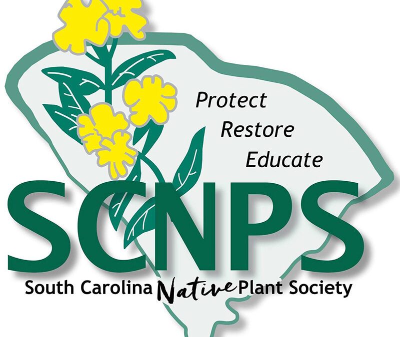 Protected: South Carolina Plant Database